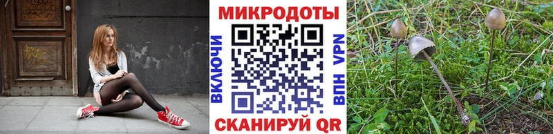 Псилоцибиновые грибы ЛСД Омск